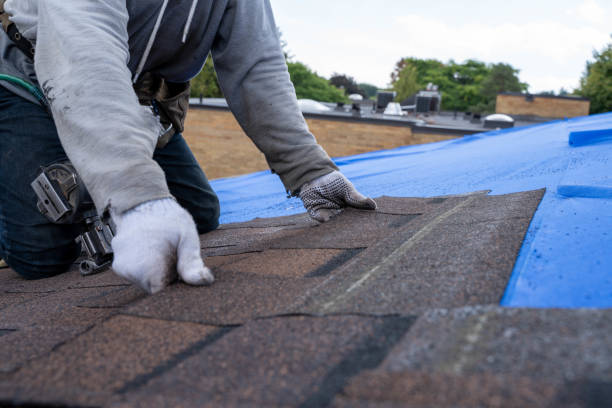 Best Roof Gutter Cleaning  in Brilliant, OH