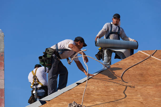Best Roofing Contractor Near Me  in Brilliant, OH