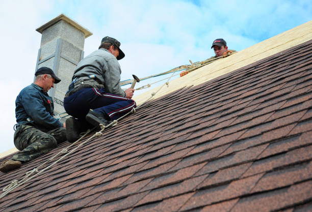 Best Roof Maintenance Services  in Brilliant, OH